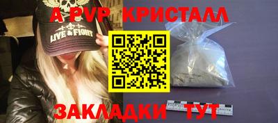 СК Моздок