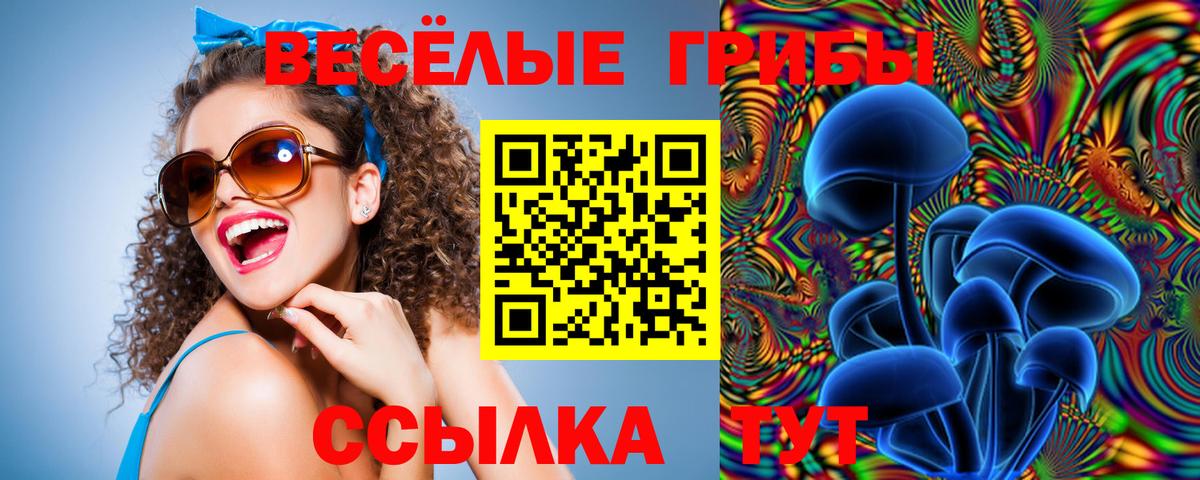 цены наркотик  Вход с VPN  Юрга  Псилоцибиновые грибы Cubensis 