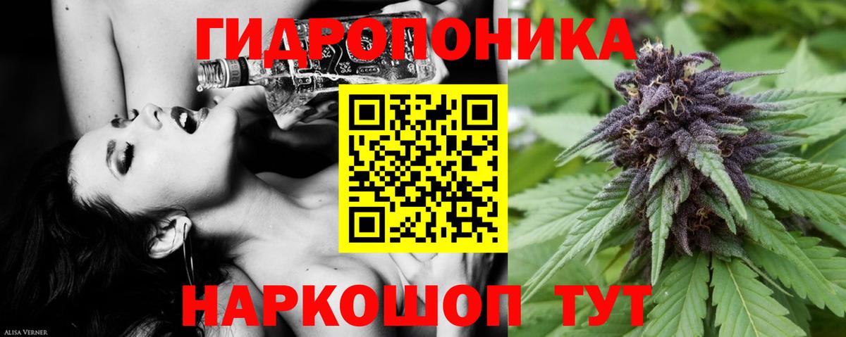 Конопля индика Юрга