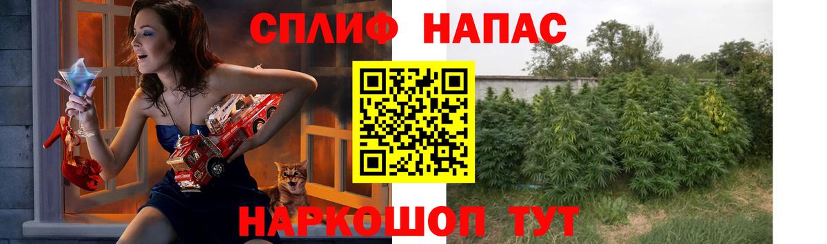 Шишки марихуана MAZAR  Конопля SATIVA & INDICA  Вход с VPN  Юрга 